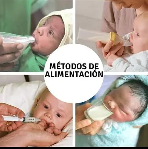 Collage de fotos con métodos de alimentación: jeringa, vasito y otros