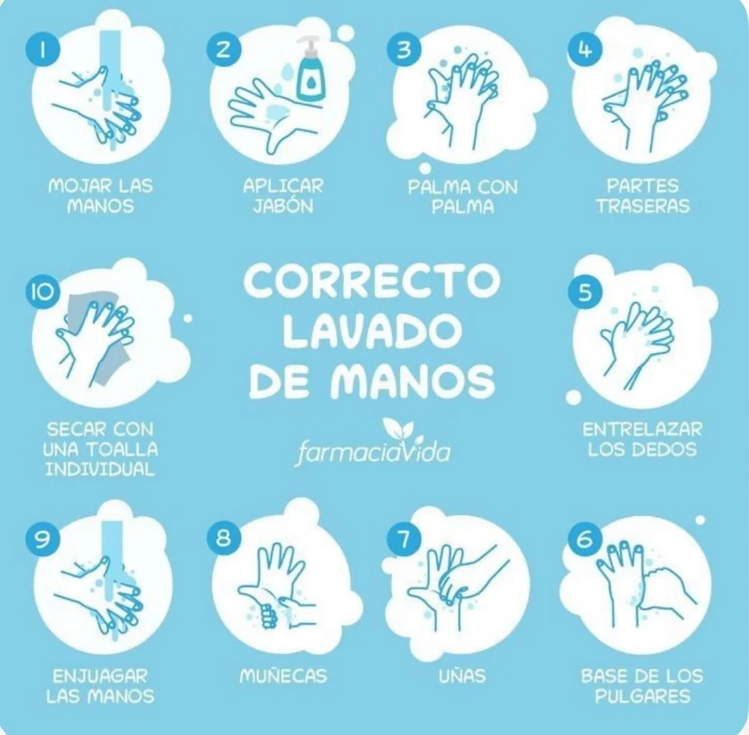 Infografía con los 10 pasos del correcto lavado de manos. Se puede ampliar